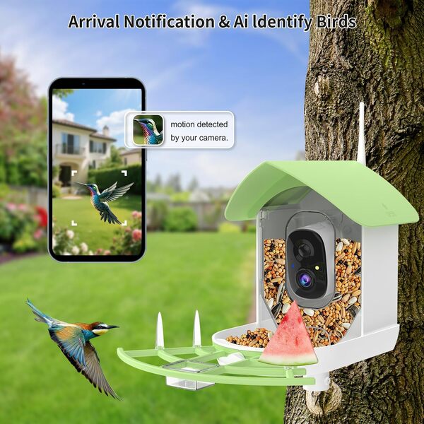 Mangeoire à oiseaux avec caméra, reconnaissance intelligente de la race d'oiseaux, détection de mouvement des oiseaux avec notification en temps réel, caméra WiFi à capture automatique, maison à