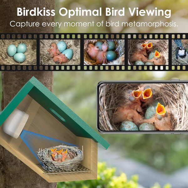Birdkiss Nichoir intelligent avec caméra : caméra d'oiseau sans fil avec panneau solaire – Activation de mouvement et capture automatique vidéo HD pour oiseaux – Vert