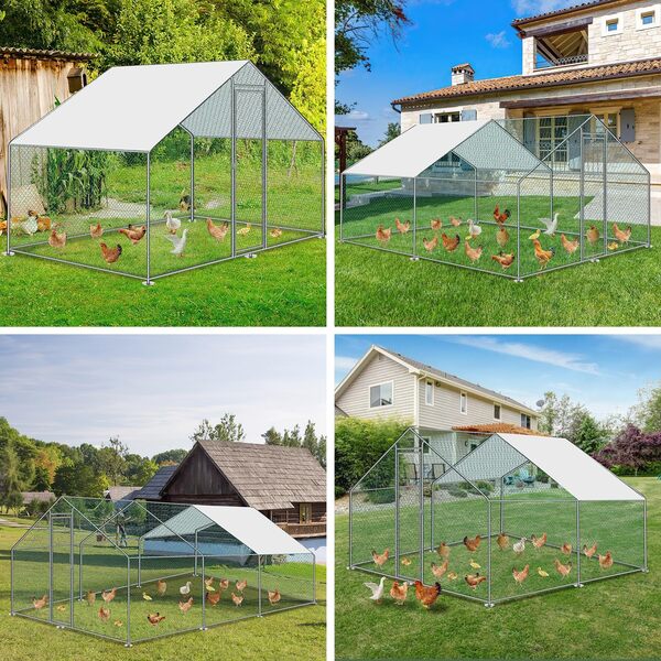 Cecaylie Poulailler 18 m² 3x6x2 m métal avec Serrure et Porte