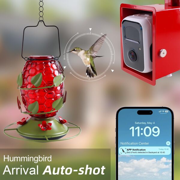 Mangeoires pour colibri avec appareil photo, pour suspendre à l'extérieur