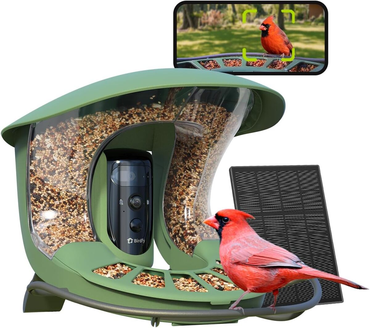 Test : birdfy 2 Pro mangeoire oiseaux avec caméra 2K et solaire