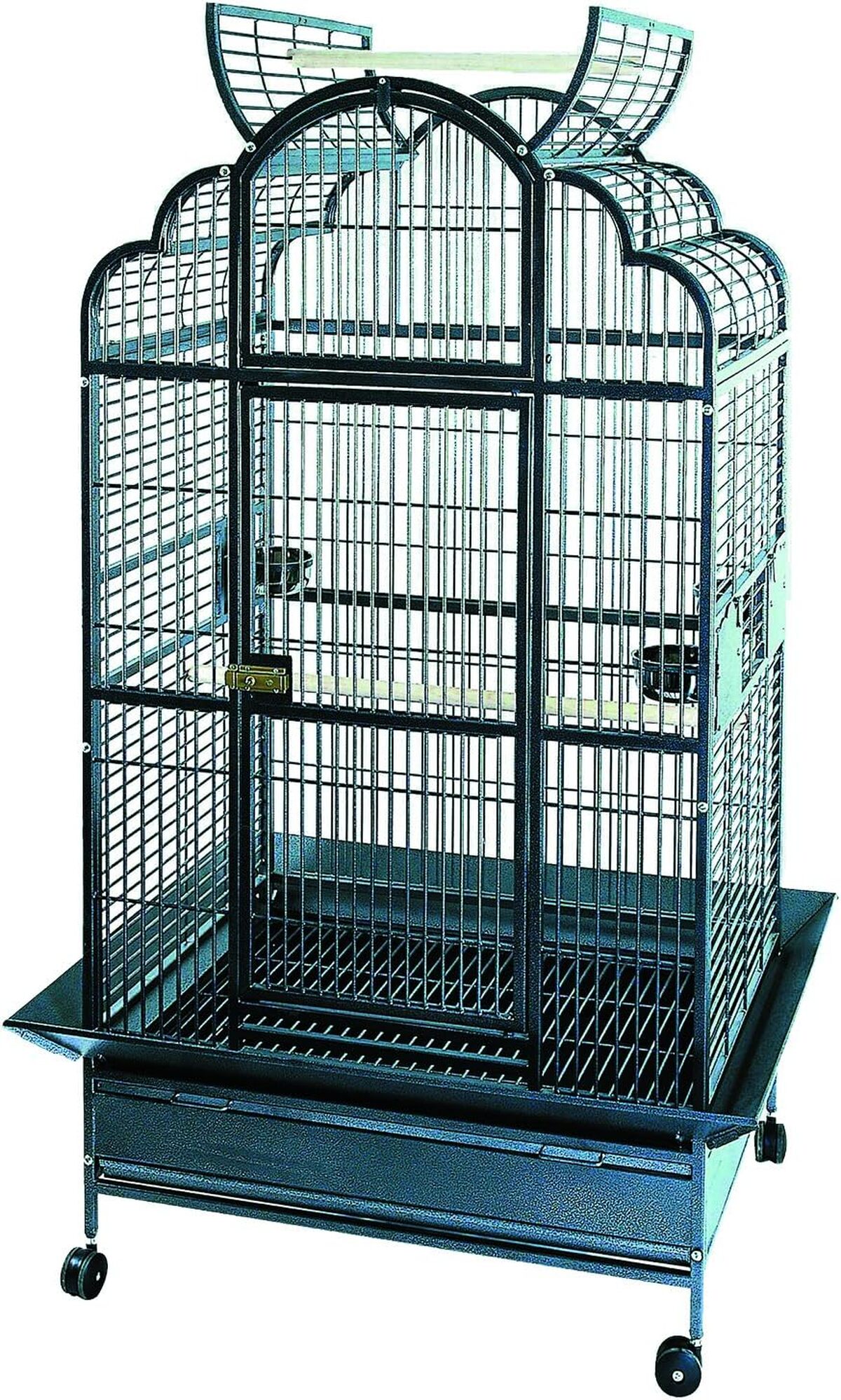 Test : cage pour perroquet Vadigran Emperor 2 boîtes