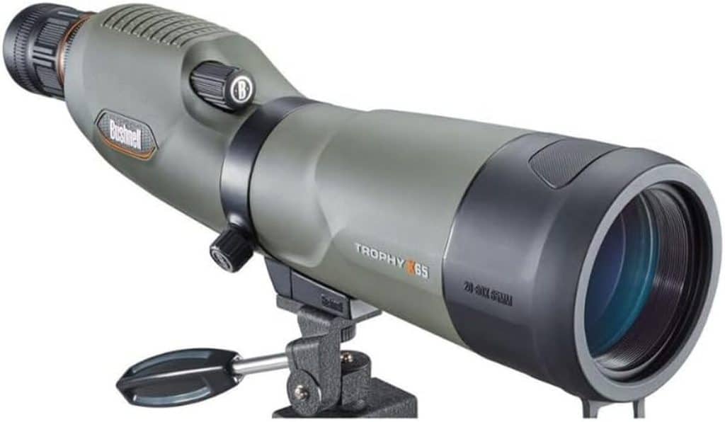Test de la lunette terrestre Bushnell Trophy 20-60x65 : observation nature et faune