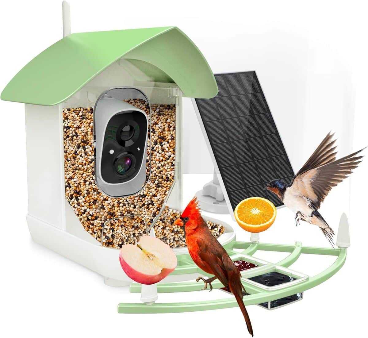 Test de la mangeoire intelligente avec caméra WiFi et reconnaissance des oiseaux