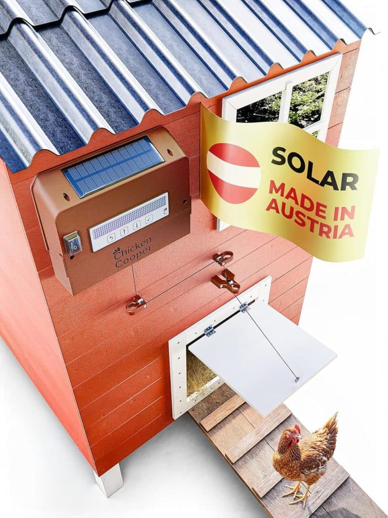 Test de l'ouvre-porte solaire Chicken Cooper 5 kg pour poules