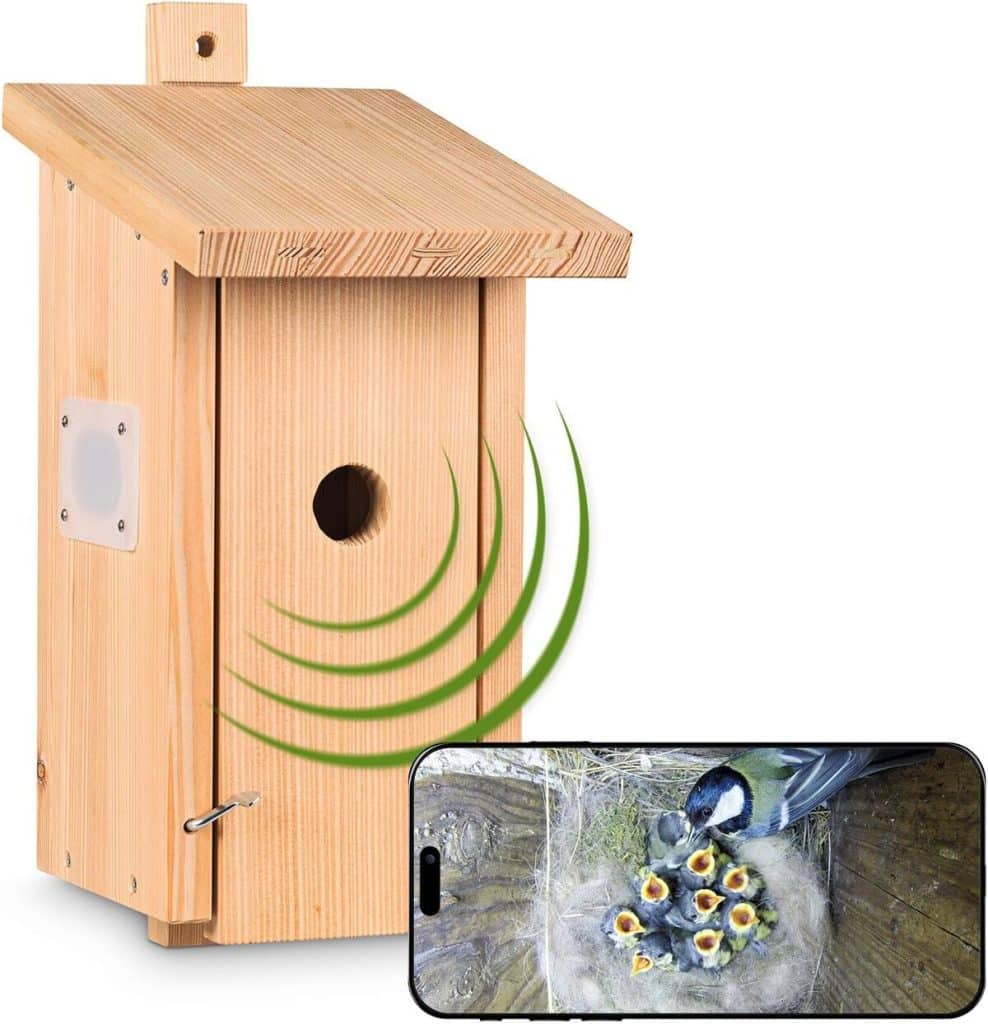 Test du nichoir Nestblick Plus : observation en direct avec caméra wifi