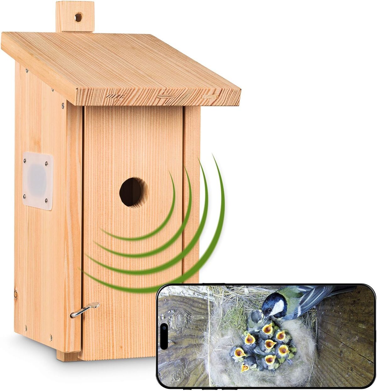 Test du nichoir Nestblick Plus : observation en direct avec caméra wifi