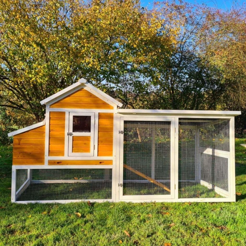 Test du poulailler Animal Valley XL : robustesse et espace pour vos poules