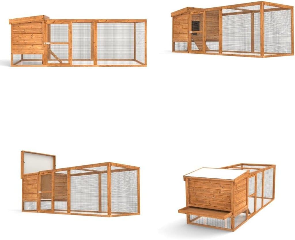 Test du poulailler Type 01 avec double nichoir