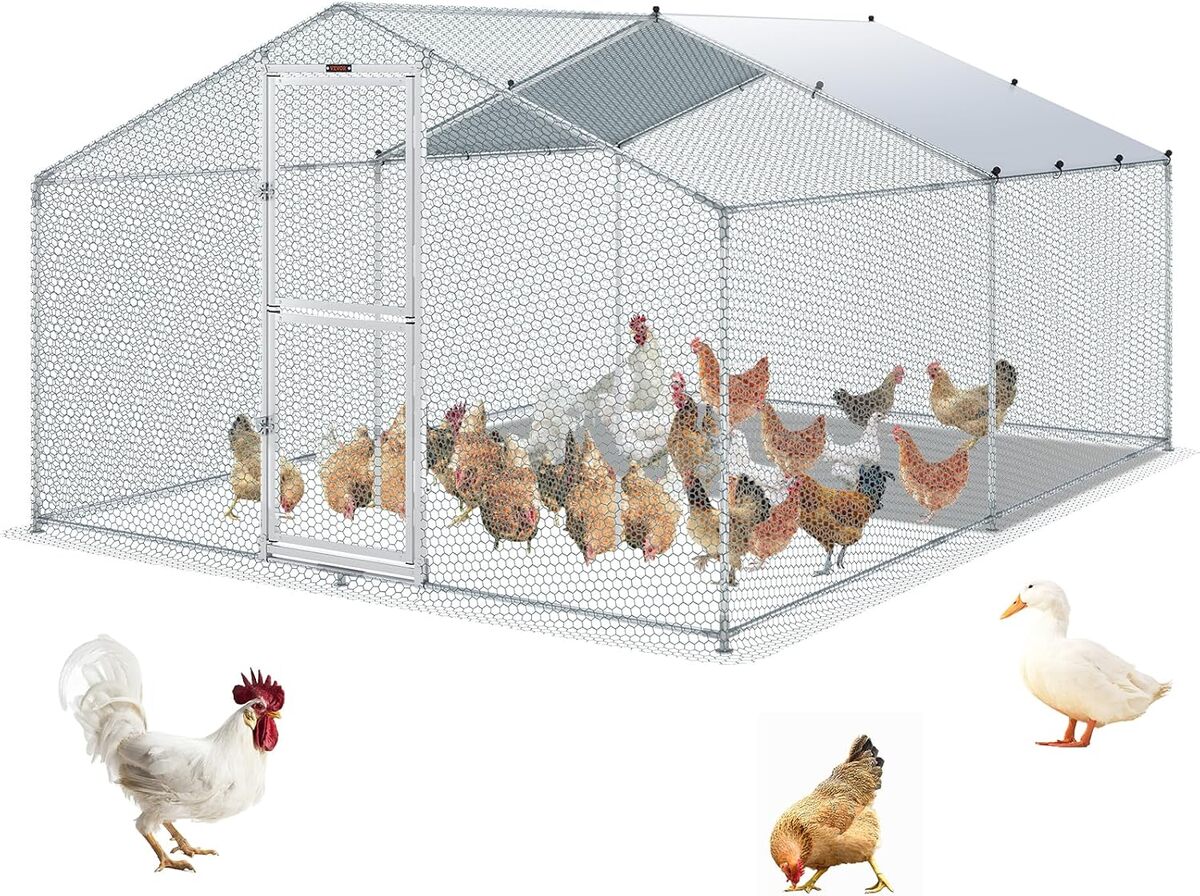 Test : enclos poulailler VEVOR grand parc grillagé 400x300x200 cm