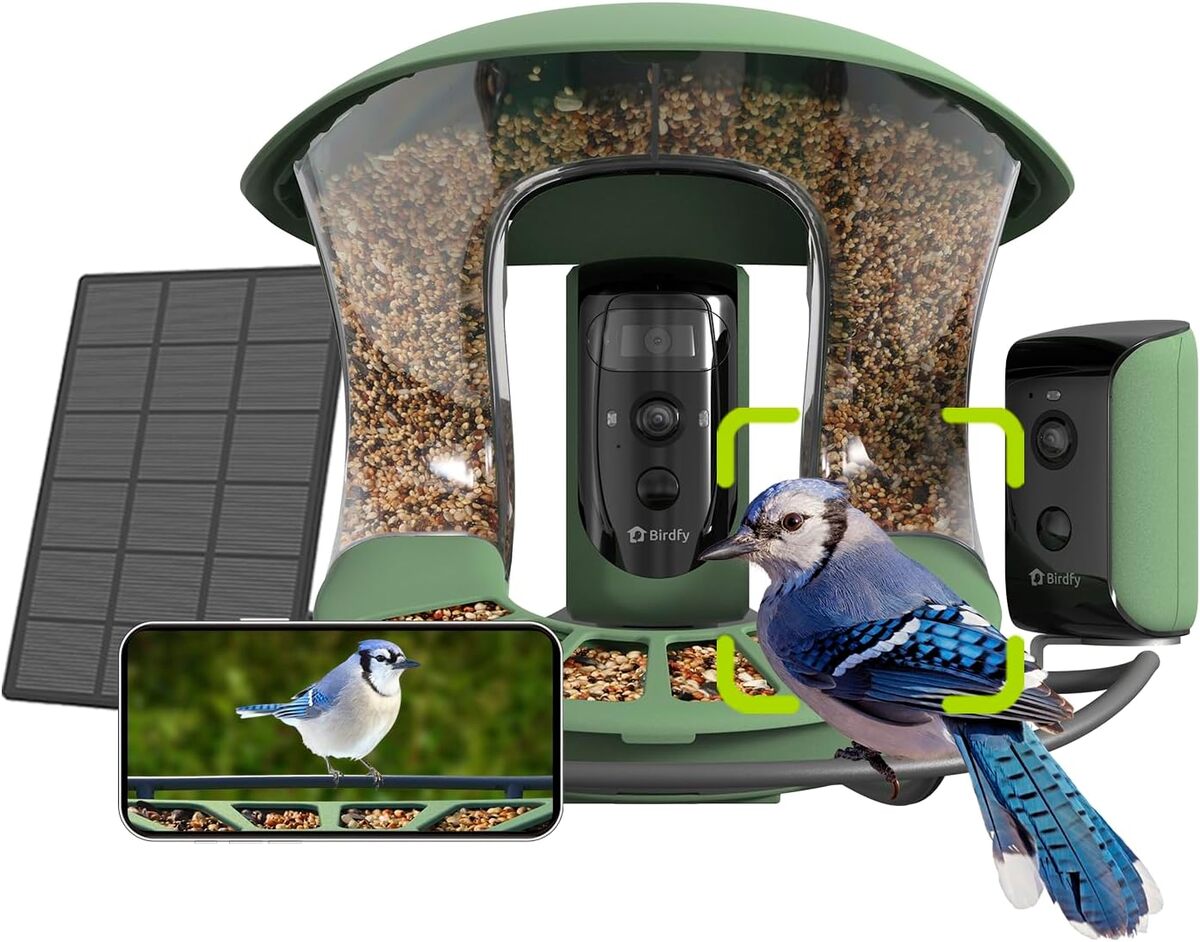 Test : mangeoire Birdfy 2 Duo avec caméras et IA pour oiseaux