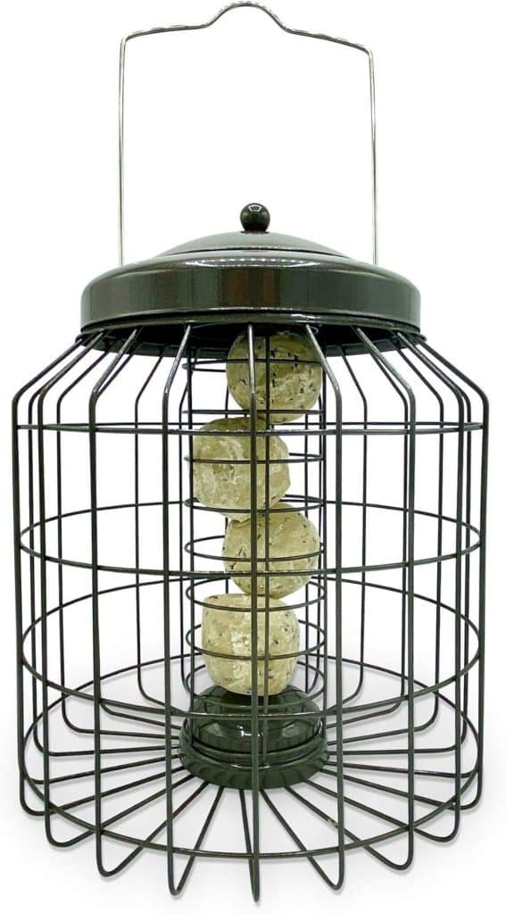 Test : mangeoire REPEAK anti-écureuils marron moka