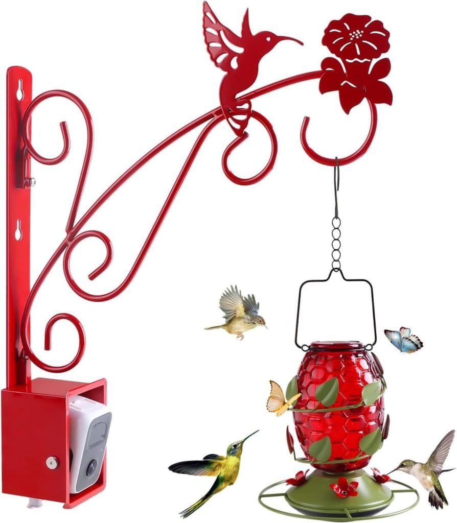 Test : mangeoires colibri avec caméra intégrée