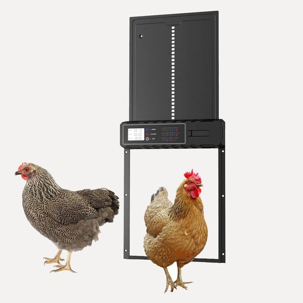 Test : porte de poulailler automatique anti-pincement