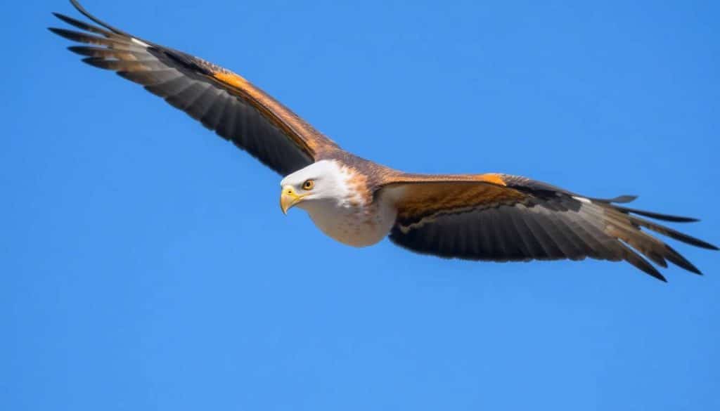 Oiseaux : découverte des records Insoupçonnés