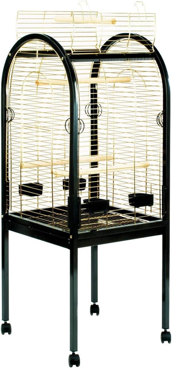 Duvo+ duvoplus, Cage À Perroquet Junior 55x55x130cm Noir, Oiseaux, Noir, Oiseaux