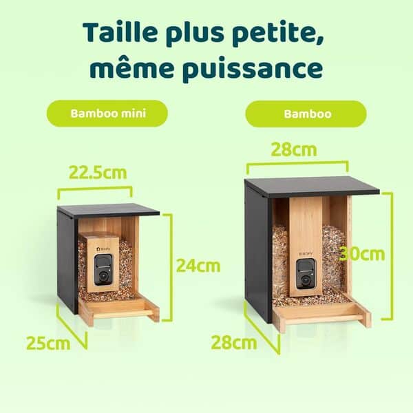 Netvue by Birdfy Mangeoire Oiseaux Exterieur en Bambou avec Caméra et Solaire, Caméra Mangeoires pour Oiseaux Sauvages avec Vision Nocturne, Capture Auto Images/Vidéos Notification Instantanée