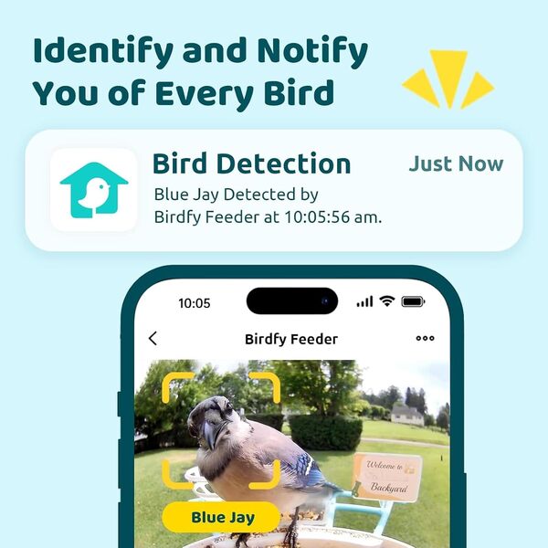 Netvue by Birdfy Mangeoire Oiseaux Camera pour L’Observation Direct, 1080P Solaire Mangeoire Oiseaux avec Vision Nocturne en Couleur, Notifications en Temps Réel, Enregistrement à Chaque Visit