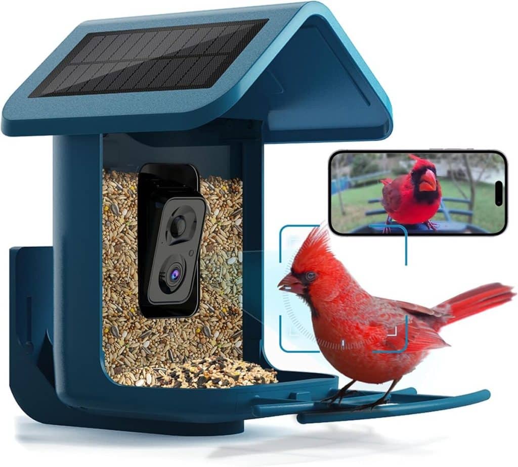 Test de la mangeoire à oiseaux avec caméra solaire intelligente 2K pour jardin