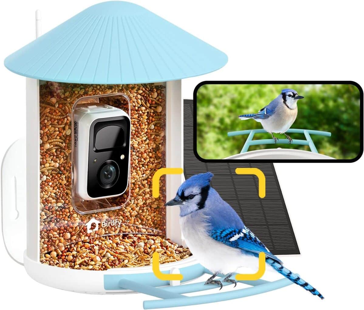 Test de la mangeoire caméra 1080P Netvue Birdfy : observation solaire en temps réel