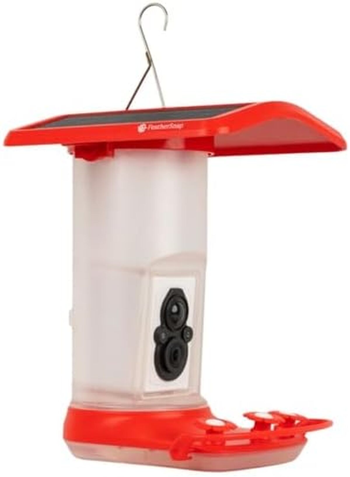 Test de la mangeoire intelligente FeatherSnap pour colibri