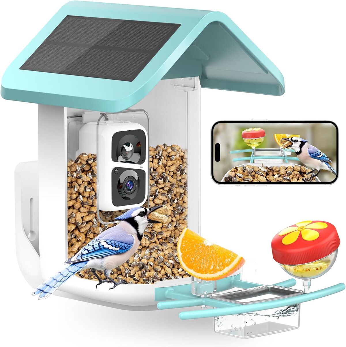 Test de la mangeoire intelligente Viubird avec caméra : une innovation pour votre jardin