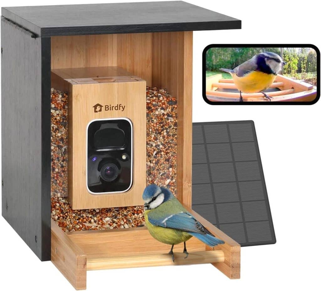 Test de la mangeoire Netvue Birdfy : camera solaire avec vision nocturne
