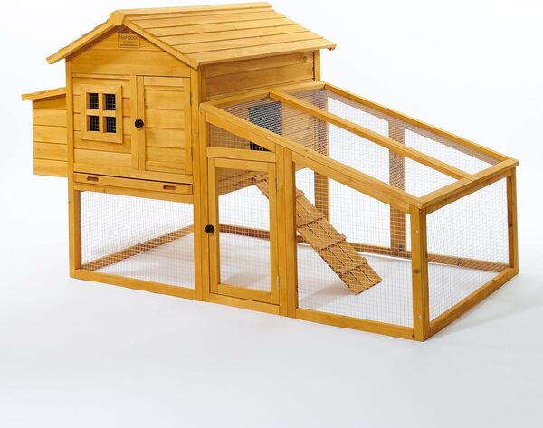 FeelGoodUK Poulailler volailles, Rampe d'accès et tiroir à déjections - NCH10 L d'or