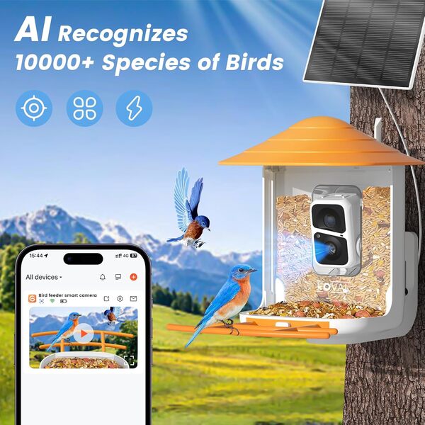 FOVAL Caméra intelligente pour mangeoire à oiseaux avec identification des espèces AI, capture vidéo automatique et détection de mouvement, fonctionne à l'énergie solaire pour les amateurs d'oiseaux