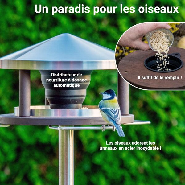 LicusDesign Mangeoire Oiseaux sur Pied Mangeoire Oiseaux Exterieur sur Pied Maison Oiseaux Exterieur sur Pied Mangeoire Oiseaux Exterieur Bois mangeoires pour Oiseaux Sauvages Maison mangeoire