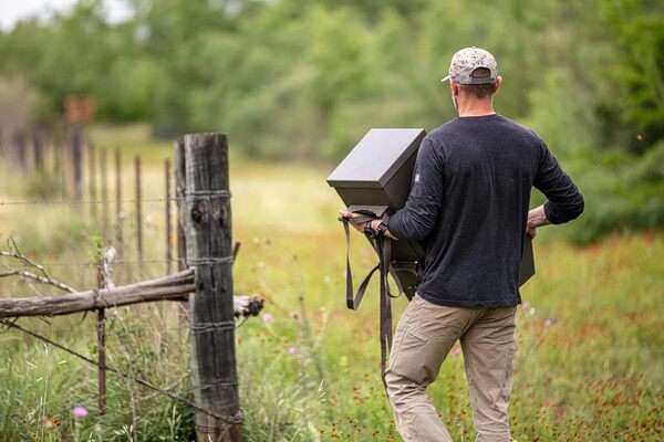 ASF All Seasons Feeders - EZ Mangeoire protéinée pour arbre
