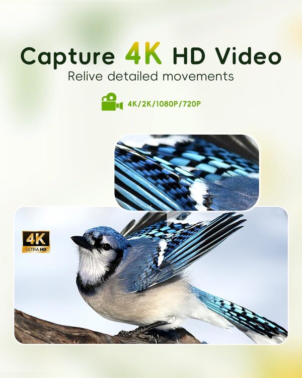 Camojojo Mangeoire intelligente pour oiseaux avec caméra, capture automatique HD 32 MP et vidéos 4K, identifie la race d'oiseau, double WiFi 5G/2,4 GHz, vue en direct, étanchéité IP66, grande batterie