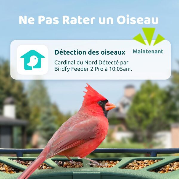 Birdfy 2 Pro Mangeoire Oiseaux avec 2K Dual-Camera pour Observation, Identification des Espèces d'oiseaux AI, Vidéo au Ralenti, Vision Nocturne en Couleur, Notifications en Temps Réel, Enregistrement