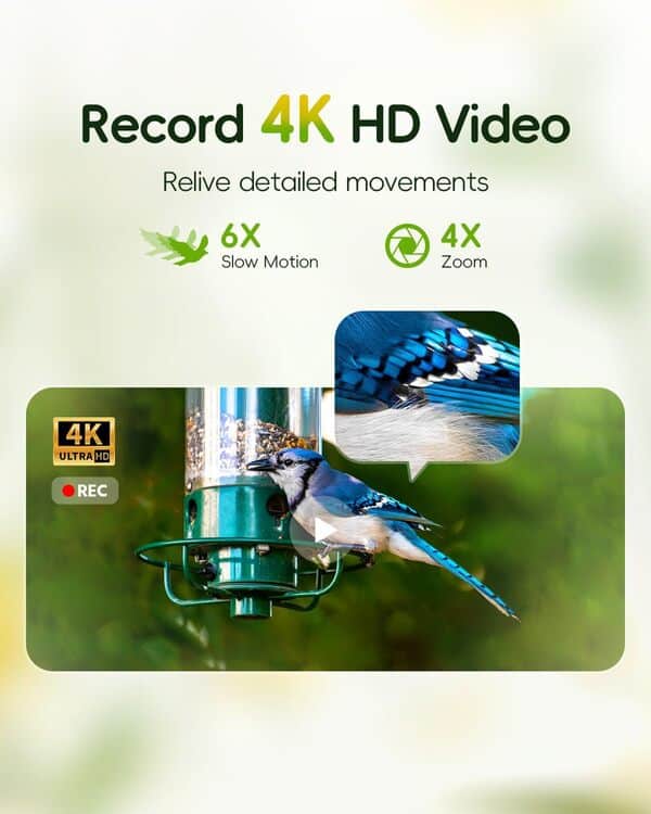 Mangeoire à oiseaux 4K HD avec caméra à énergie solaire, double WiFi 2,4 G/5 G, capture vidéo automatique, notifications instantanées, support réglable à 360° et EMMC 32 Go, identifie plus de 10 000