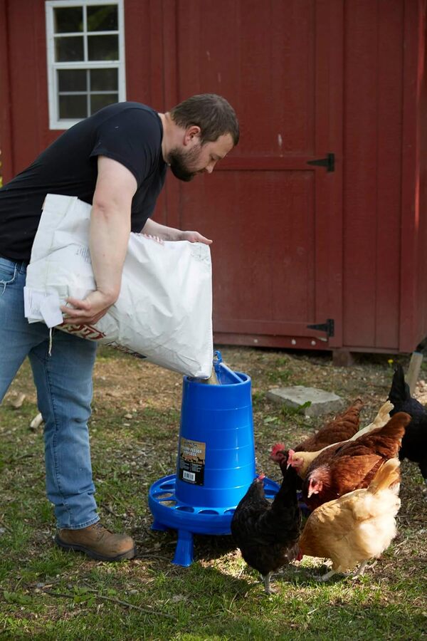 Mangeoire à volailles avec pieds – Conteneur durable avec poignée de transport pour poulets et oiseaux 35 lb bleu