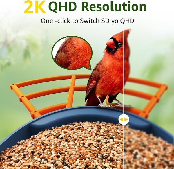 PeckCam® Mangeoire intelligente pour oiseaux avec caméra 2K HD Détection et notification automatiques, AI Identifier plus de 10 000 oiseaux avec panneau solaire 5 accessoires de perchoir sans fil