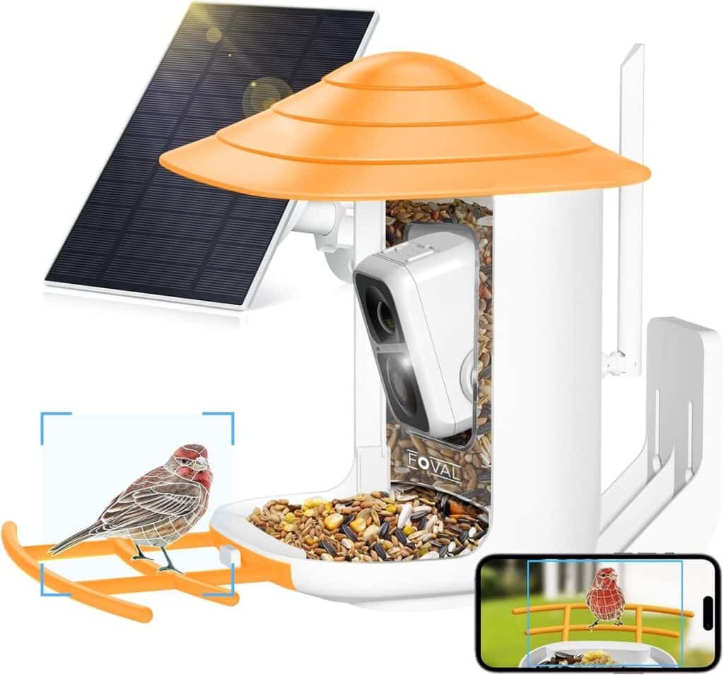 Test : caméra intelligente solaire FOVAL pour mangeoire à oiseaux