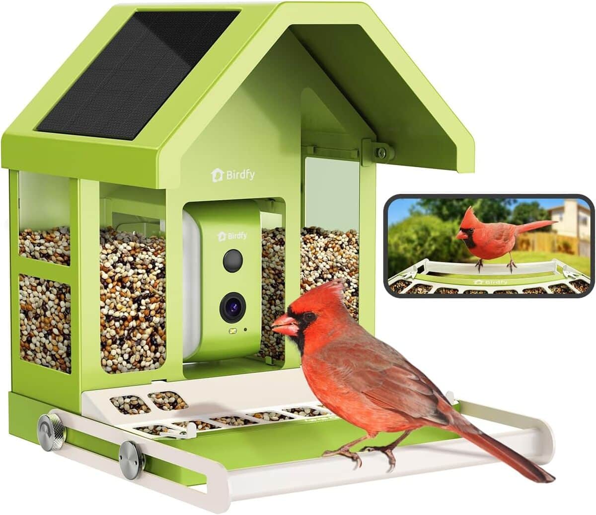 Test : caméra solaire Birdfy mangeoire à oiseaux 1080P