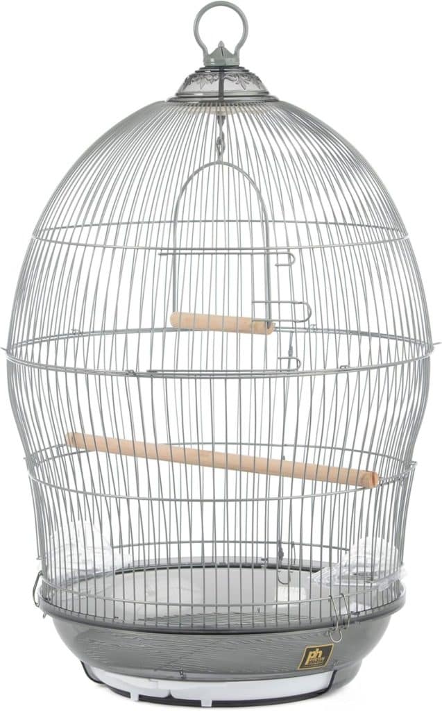 Test de la cage à oiseaux Prevue Sonata de Pet Products Inc 48 x 76 cm gris