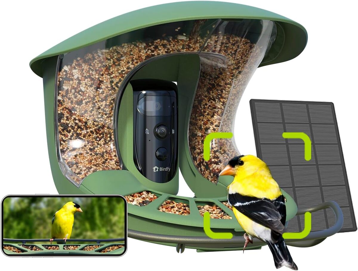 Test de la mangeoire Birdfy 2 Pro : double caméra 2K et vision nocturne