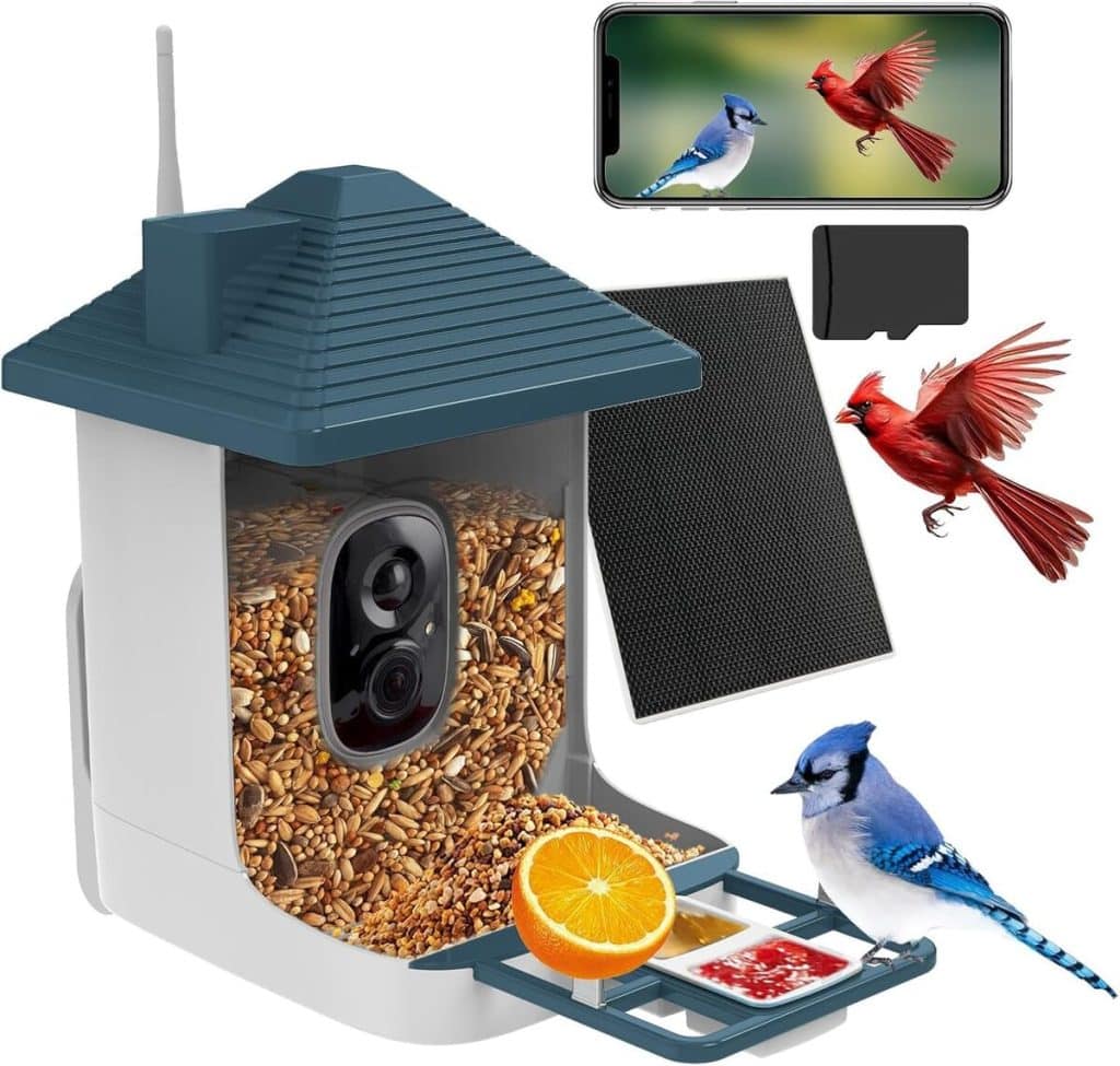 Test de la mangeoire intelligente avec caméra et panneau solaire