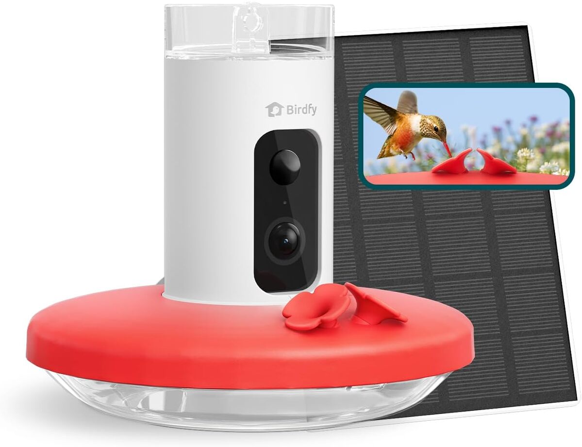 Test de la mangeoire intelligente Birdfy avec caméra pour colibris