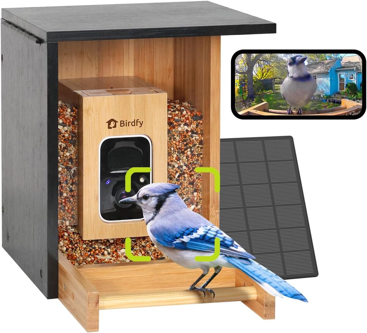 Test de la mangeoire intelligente Birdfy avec caméra solaire en bambou