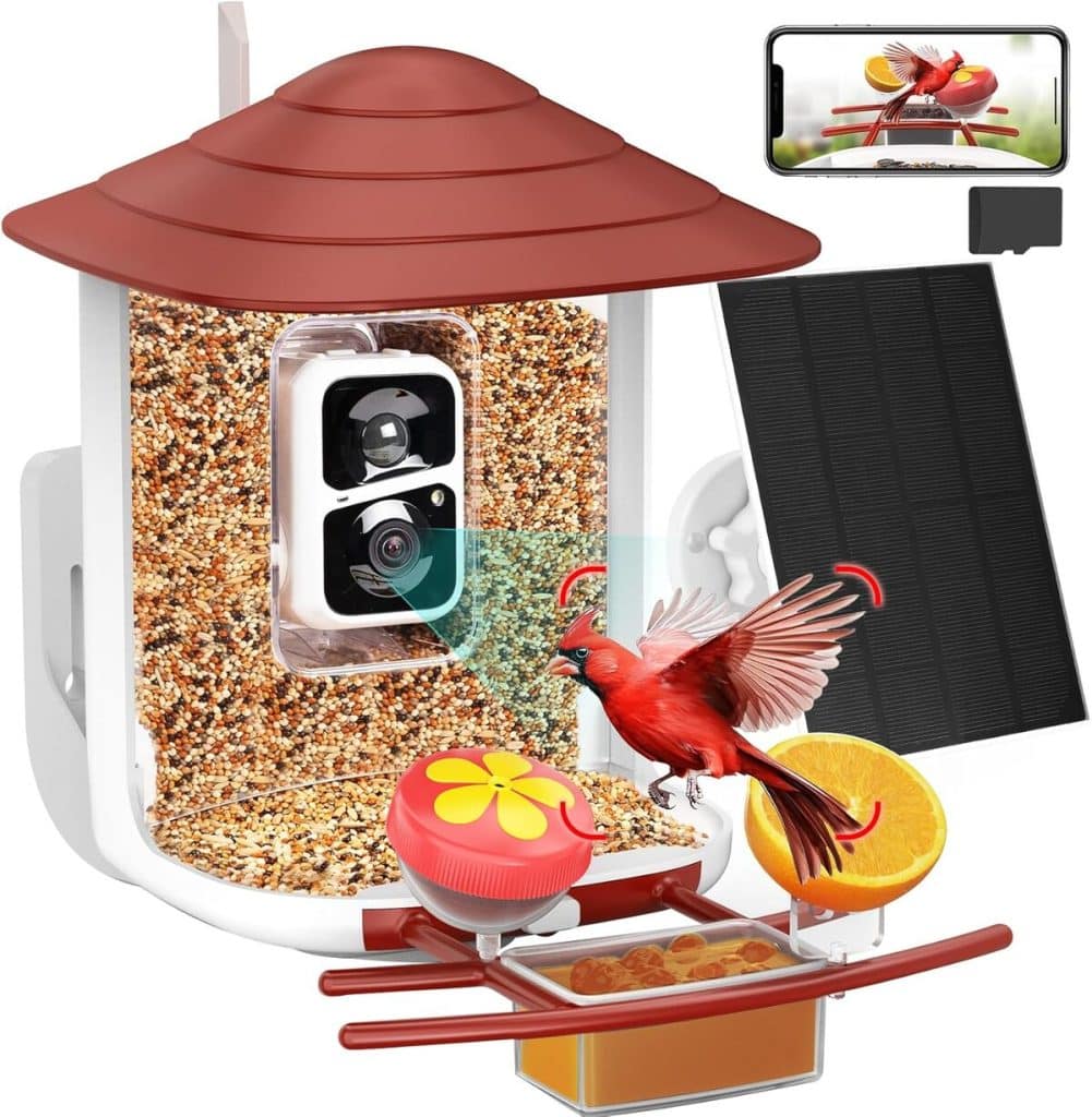 Test de la mangeoire intelligente birdsnap TUC avec caméra et panneau solaire