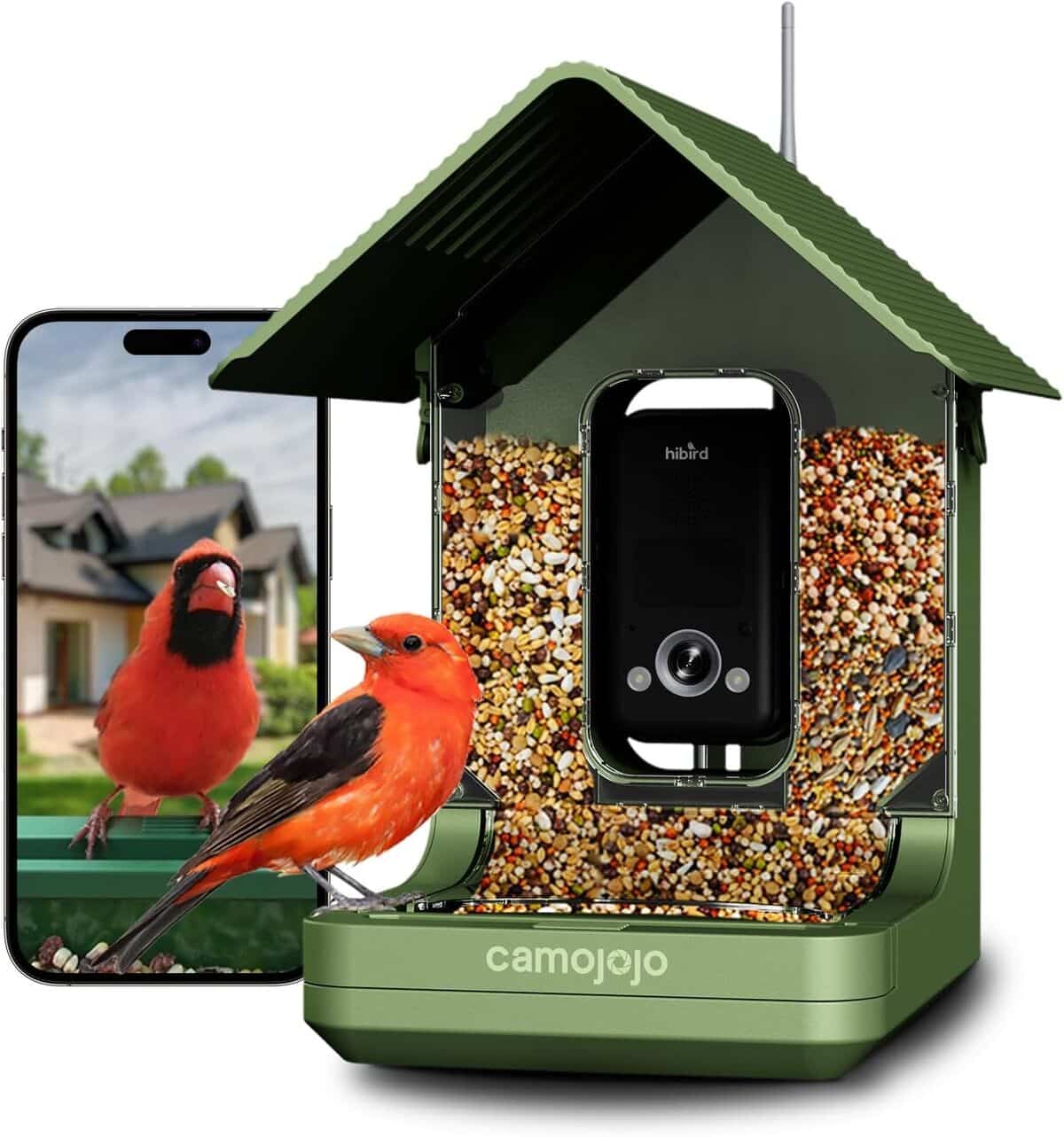 Test de la mangeoire intelligente Camojojo : caméra 4K et WiFi 5G