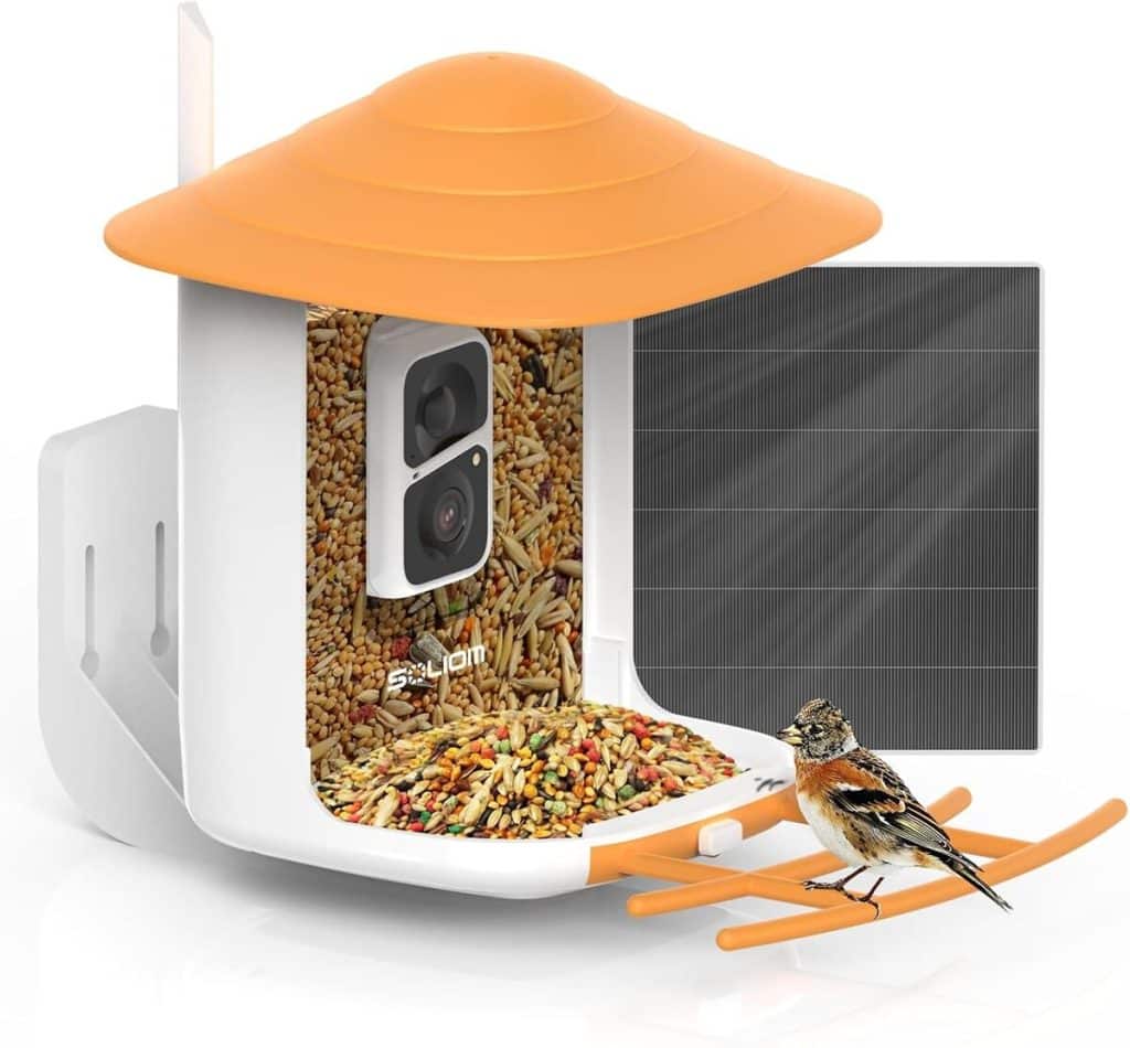 Test de la mangeoire SOLIOM BF09 avec caméra solaire 1080p HD