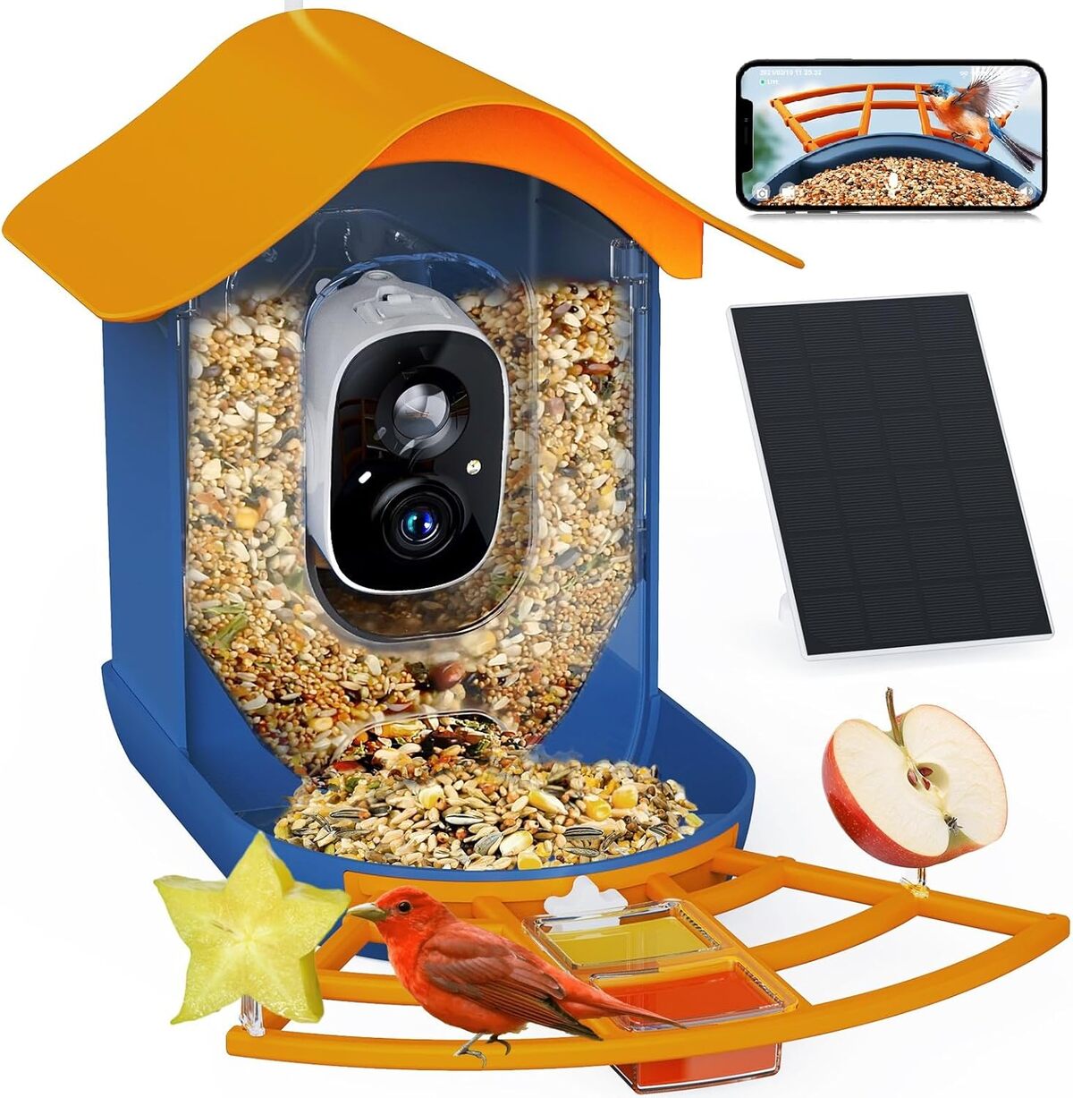 Test de la PeckCam mangeoire intelligente : caméra 2K HD et AI pour oiseaux