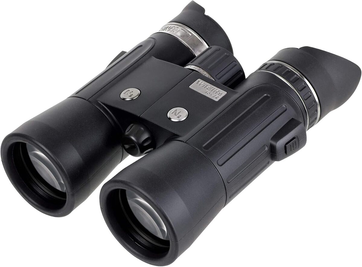 Test des jumelles Steiner Wildlife 10x42 : vision HD et couleurs fidèles