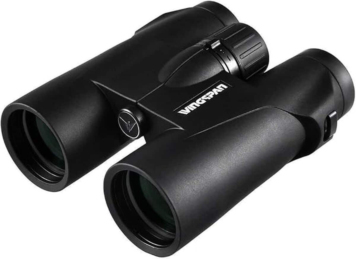Test des jumelles Wingspan Optics WideViews HD : observation nette d'oiseaux