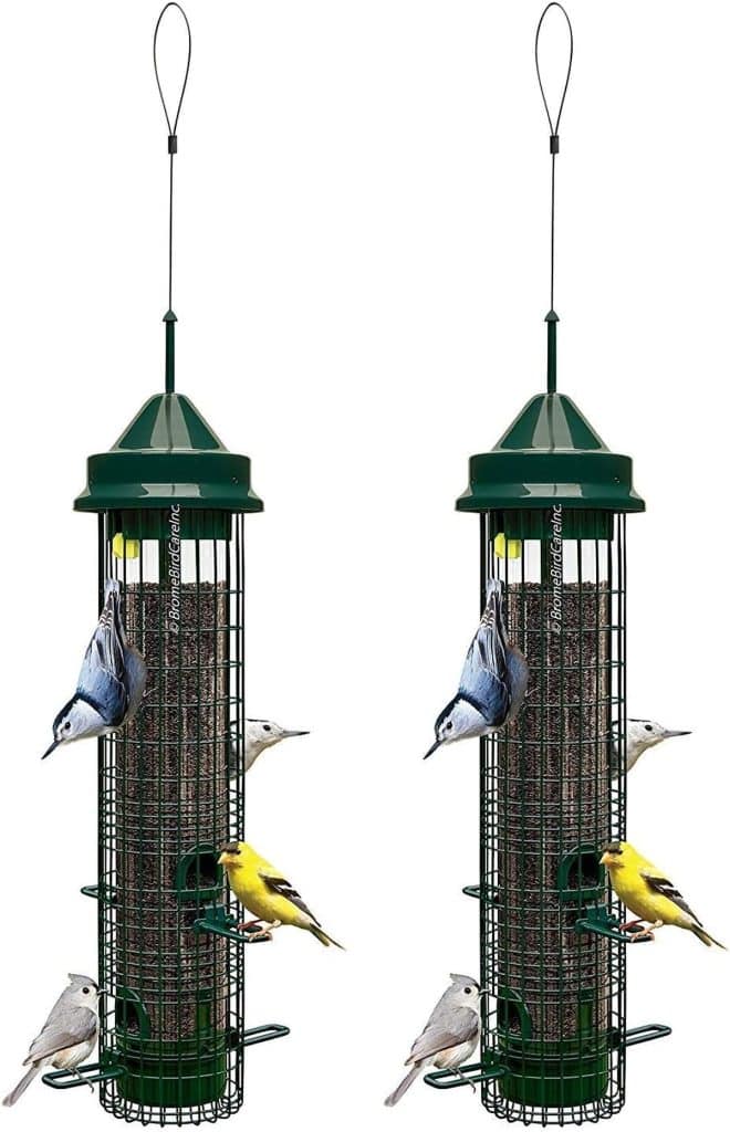 Test des mangeoires pour oiseaux sauvages : lot de 2, 6, 4 kg, 4 ports